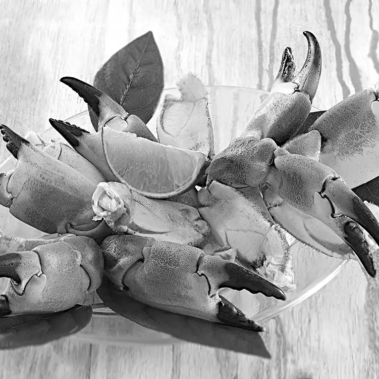 pinces-de-crabe