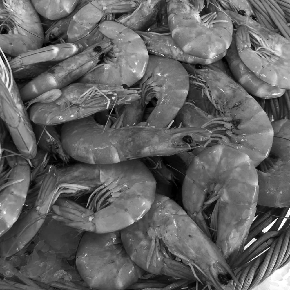 Plateau Fruit de Mer piquey