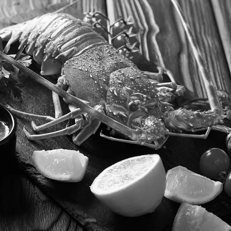 langouste