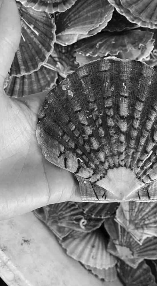 Poissonnerie Claouey