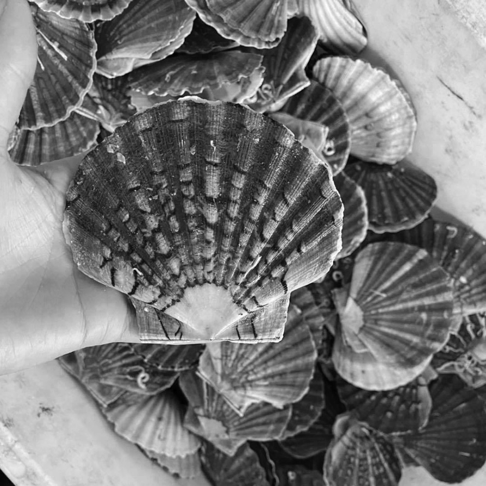 Plateau fruit de mer Audenge