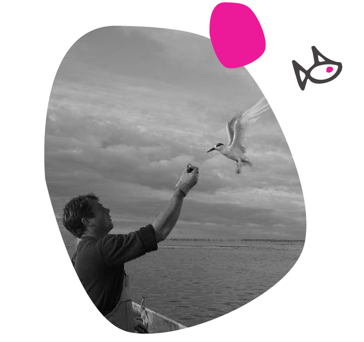 Poissonnerie au Porge